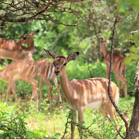 Kruger Kumba - Lahlekile Nathi Marloth Park Exterior foto