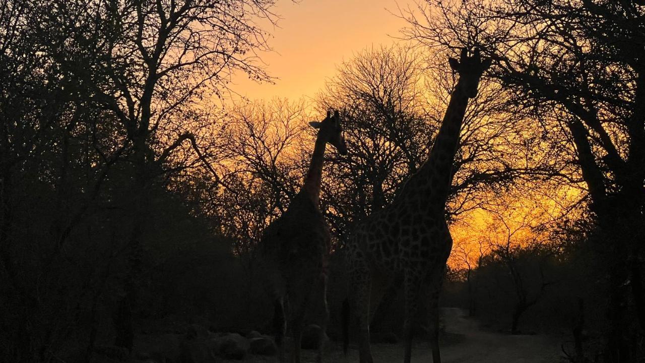 Kruger Kumba - Lahlekile Nathi Marloth Park Exterior foto
