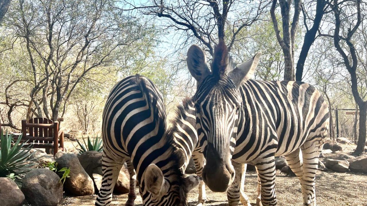 Kruger Kumba - Lahlekile Nathi Marloth Park Exterior foto