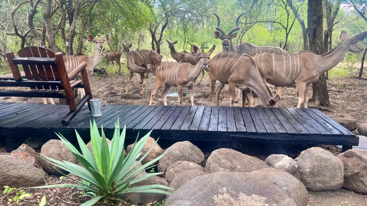 Kruger Kumba - Lahlekile Nathi Marloth Park Exterior foto